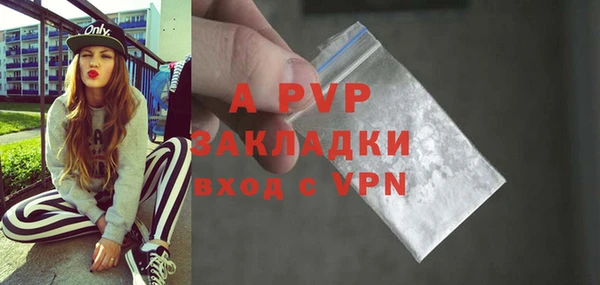 стафф Бородино