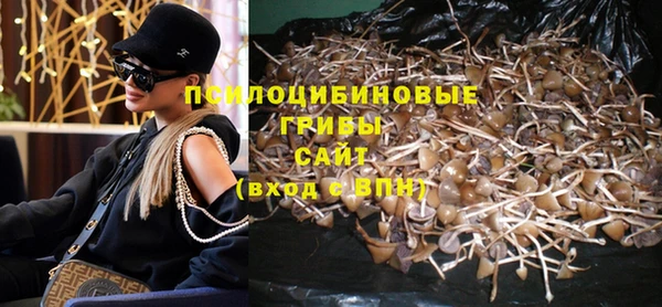 крисы Бугульма