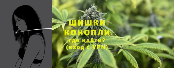 спиды Бронницы