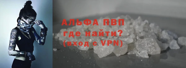 стафф Бородино