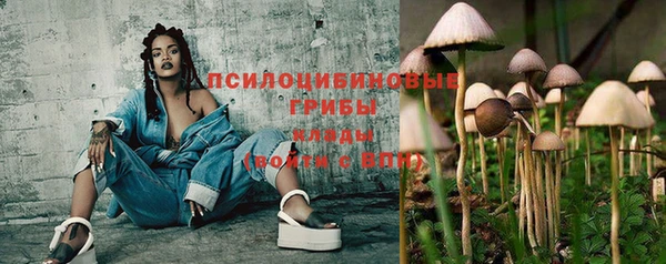 крисы Бугульма