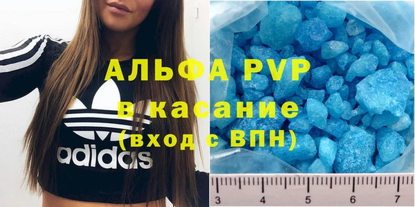 стафф Бородино