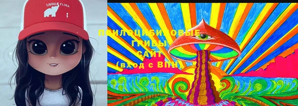 спиды Бронницы