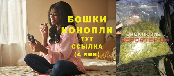 крисы Бугульма