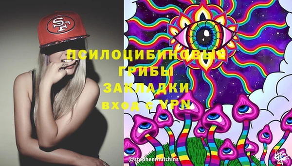 крисы Бугульма